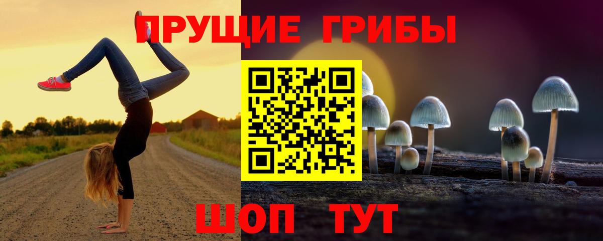 Мурино  Галлюциногенные грибы ЛСД  Псилоцибиновые грибы MAGIC MUSHROOMS  Вход с VPN 